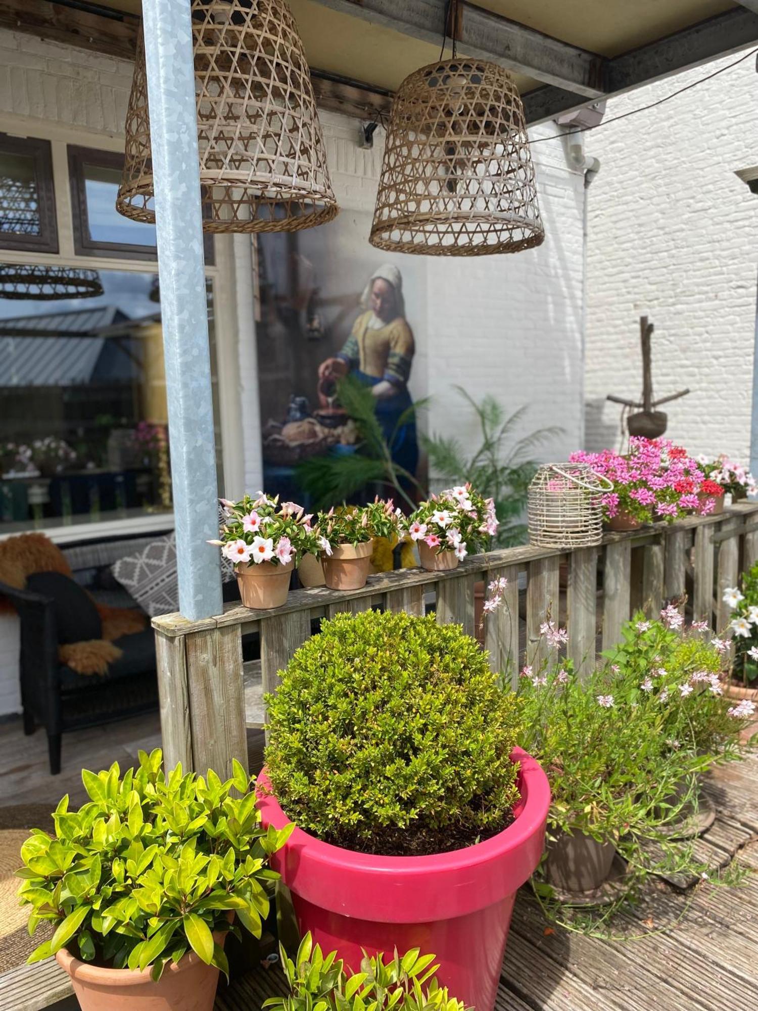 Bubbles & Bed Bed & Breakfast Bilthoven Exterior foto